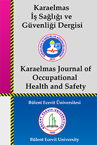 Karaelmas Journal of Occupational Health and Safety